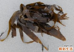 痛风病人能吃海带吗 孕妇到底能不能吃海带
