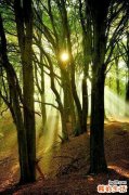 4 不同肤质 白雪公主的变身秘决