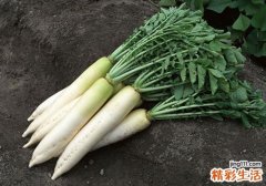 吃白萝卜有什么好处 白萝卜怎么吃最好