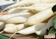 白萝卜的功效与作用
