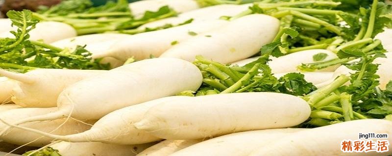 白萝卜和牛肉能一起吃吗 白萝卜和牛肉的做法