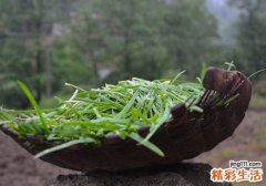 女人吃韭菜的好处 好处虽多但不可与它们同食