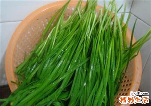 如何挑选嫩韭菜 吃韭菜有哪些禁忌