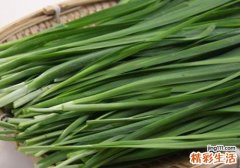 韭菜和什么一起吃最好 韭菜的人群宜忌