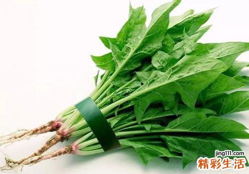 菠菜有什么好处 菠菜的适用人群与禁忌人群