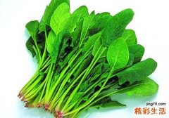 菠菜含有什么营养成分 菠菜对身体有什么好处
