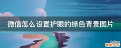 微信怎么设置护眼的绿色背景图片