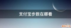 支付宝步数在哪看