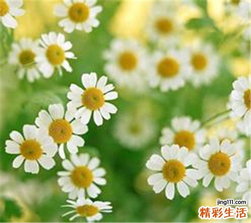 2 认识黑眼圈成因 预防疾病