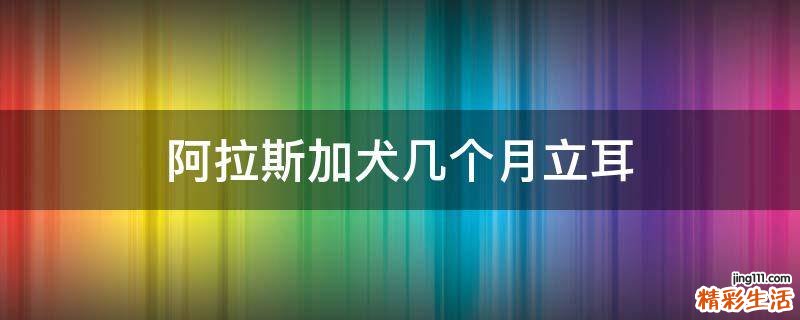 阿拉斯加犬几个月立耳