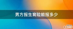 男方报生育险能报多少