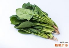 菠菜可以每天吃吗 菠菜吃多了好吗