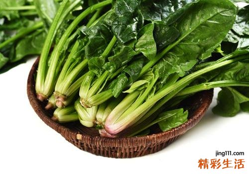 如何很好的洗净菠菜 菠菜怎么清洗才干净