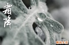 2023霜降是几月几日
