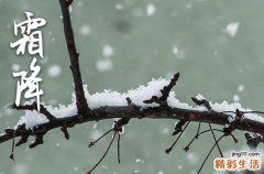 2023年霜降时间几点几分几秒