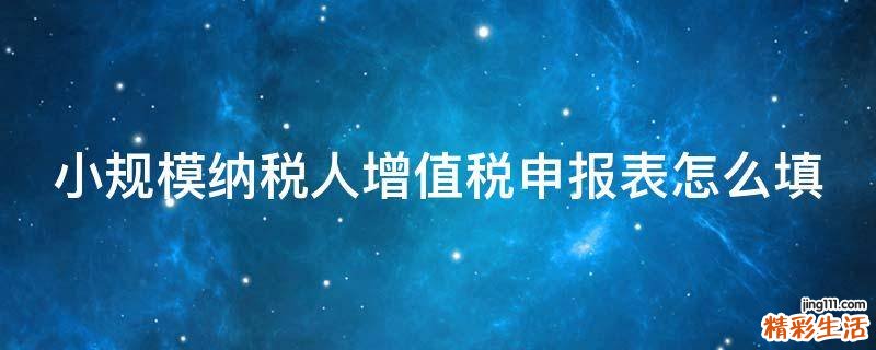 小规模纳税人增值税申报表怎么填