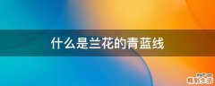 什么是兰花的青蓝线