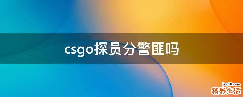 csgo探员分警匪吗