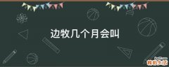 边牧几个月会叫