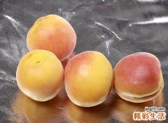 银耳和黄桃能一起吃吗 银耳与黄桃怎么吃
