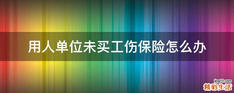 用人单位未买工伤保险怎么办