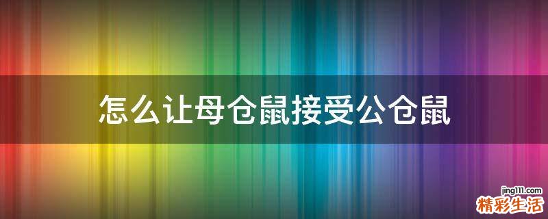 怎么让母仓鼠接受公仓鼠