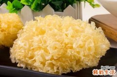银耳不能和什么一起吃 银耳的副作用
