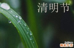 2024清明节放假通知模板 2024清明节放假模板范文一览