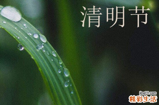 2024清明节放假通知模板 2024清明节放假模板范文一览
