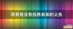 哥哥有没有抚养弟弟的义务