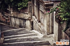 青菜头如何凉拌