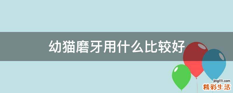 幼猫磨牙用什么比较好