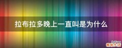 拉布拉多晚上一直叫是为什么