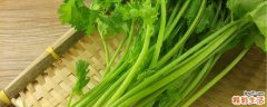 煮香菜水什么时候喝 香菜煮水每天喝多少
