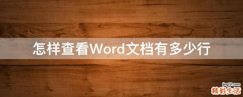 怎样查看Word文档有多少行