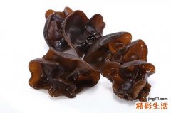 吃木耳排毒吗 吃木耳有什么好处
