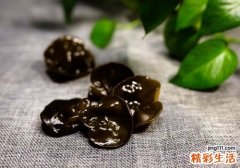木耳不能和什么一起吃 别怪我没告诉你哦