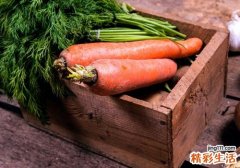 胡萝卜开花了还能吃吗 胡萝卜裂开了还可以吃吗
