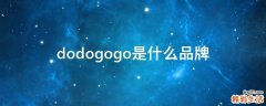 dodogogo是什么品牌