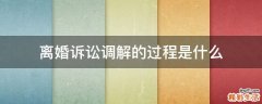 离婚诉讼调解的过程是什么
