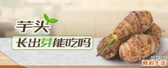 芋头长出芽能吃吗 芋头长出白色的须可以吃吗