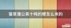 萤草蒲公英十吨的梗怎么来的