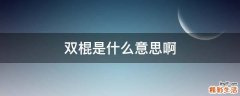 双棍是什么意思啊