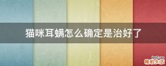 猫咪耳螨怎么确定是治好了