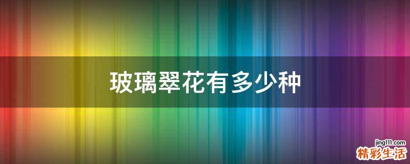 玻璃翠花有多少种