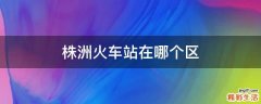株洲火车站在哪个区