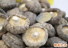 香菇搭配什么一起吃 吃香菇的人群宜忌