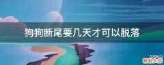狗狗断尾要几天才可以脱落