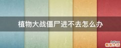 植物大战僵尸进不去怎么办