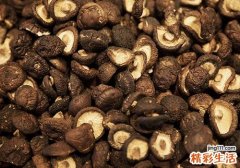 香菇碱性还是酸性食物 香菇属于热性还是凉性